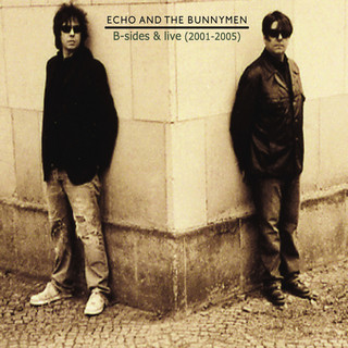 Echo and the Bunnymen - B-Sides and Live (2001 - 2005)