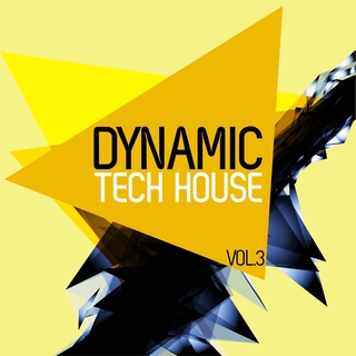 Various Artists - Dynamic Tech House, Vol. 3