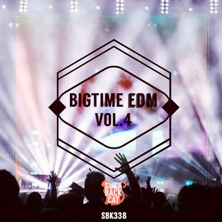 Various Artists - Bigtime EDM, Vol. 4