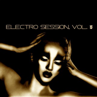 Various Artists - Electro Session, Vol. 15 (Small Size)