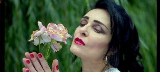 Siouxsie And The Banshees